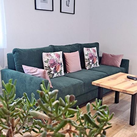 Apartament Dzika Roza Kowary Εξωτερικό φωτογραφία