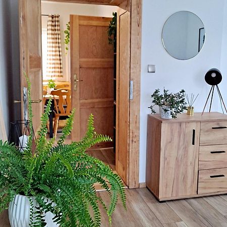 Apartament Dzika Roza Kowary Εξωτερικό φωτογραφία